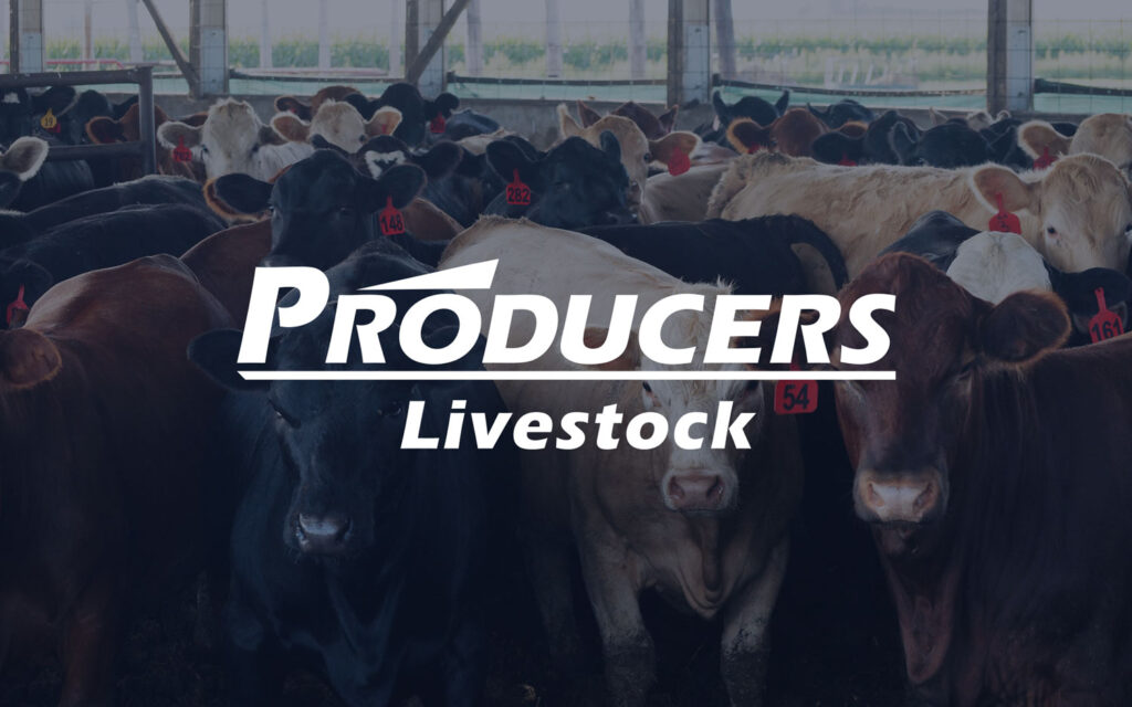 Producers Livestock